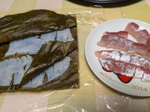 イカ！！青物！！