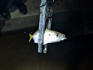 能登へ行ってきました!前編