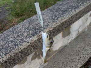 能登へ行ってきました!後編