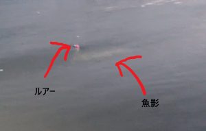 能登チニングのはずが…