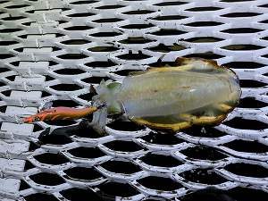 まだまだこれから!!