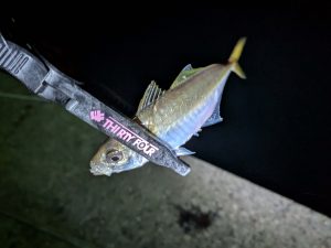 能登アジング行ってきました！