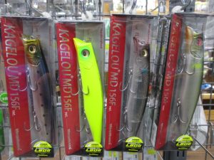 大人気ｼｰﾊﾞｽ、ﾄﾗｳﾄﾙｱｰ入荷！