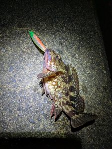 近況報告前（前編）