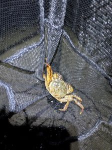 近況報告（後編）！！