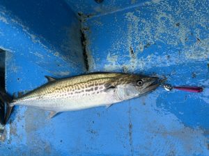 ｻﾜﾗｷｬｽﾃｨﾝｸﾞに行ってきました！！