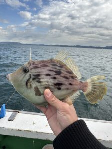カワハギ釣りに行ってきました！！
