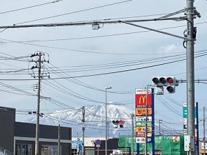 【入荷情報】リュウキ＆エデン入荷！＆奏もアルヨ