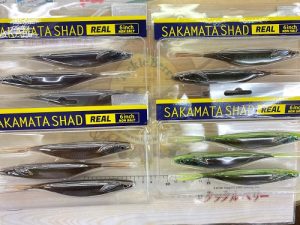 【入荷情報】サカマタシャッドリアル！