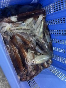 【お客様釣果】重茂～イカメタル～