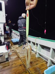 【ｽﾀｯﾌ釣果】久々の釣りはやっぱりイカメタル!!