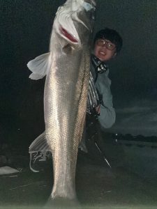 【お客さま釣果】今年の宮城シーバスは??