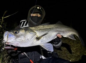 【ｽﾀｯﾌ釣果】ラストリバーシーバス🔥