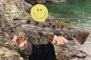 【ｽﾀｯﾌ釣果】撃沈ロックフィッシュ