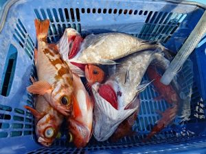 良いお年をお迎えください【盛岡南店】