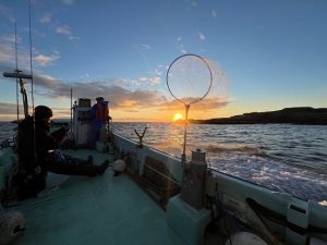 【ｽﾀｯﾌ釣果】お久しボートロック🚢　