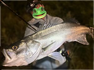 【お客さま釣果】岩手シーバス好調です！！