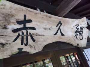 エリア釣行🎣赤久縄行ってきました🐟