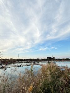 筑波流源湖　日研北本市部例会