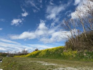 なら山沼漁場 行ってきました！