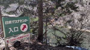 🎵イワセン春のグリ祭りッ(知らんけど。)