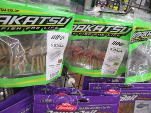 クジャラ入荷★