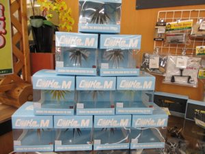 ｺｲｹﾌｨｯｼｭMｴﾗｽﾄﾏｰ入荷!!