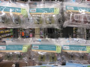 バス用ワーム　入荷！！