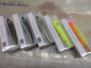 バス用プラグ　入荷しました！　