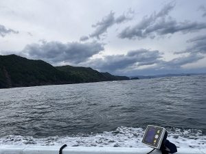 イカゲームにイカないか