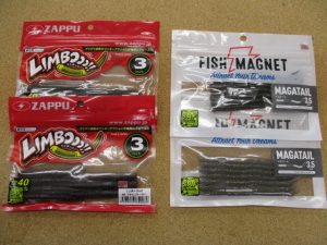 本日の入荷です！！