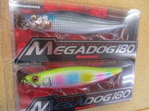 本日の入荷です!