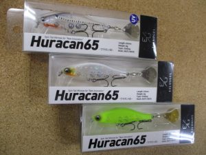 本日の入荷です！！