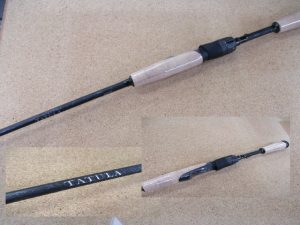 本日の入荷です！