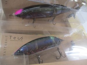 本日の入荷です！！