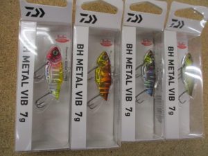 本日の入荷です！！