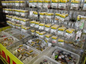 本日の入荷です！！