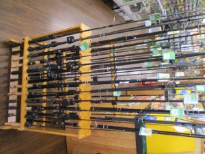 本日の入荷です！