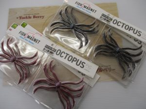 オクトパス入荷案内♪