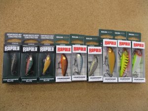 本日の入荷です！！