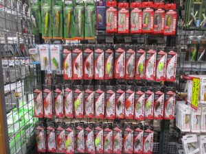 本日の入荷です！