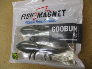 本日の入荷です！