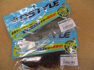 本日の入荷です！！