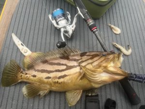 【戸塚中継店】▼釣果情報▼ヨシさん東伊豆SUPフィッシングで希少魚のホウキハタGET！