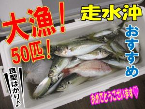 【戸塚中継店】▼釣果情報▼おがちゃんさん走水沖で良型アジ大漁GET！