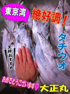 【戸塚中継店】▼釣果情報▼カトウさん年末年始の東京湾タチウオ絶好調！