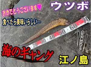【戸塚中継店】▼釣果情報▼HIROさん江の島の磯でウツボGET！