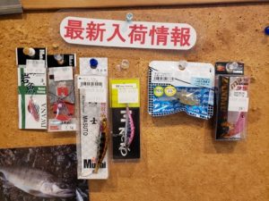 入荷情報!!