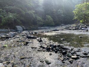 ◆夏季限定◆水遊び場オープン！！