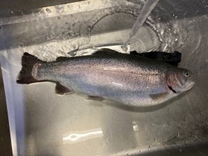 ☆7月釣果情報☆